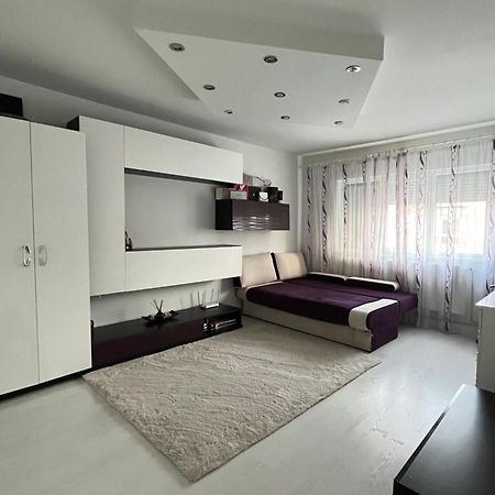 2 Bedroom Apartament, Free Parking Arad Buitenkant foto